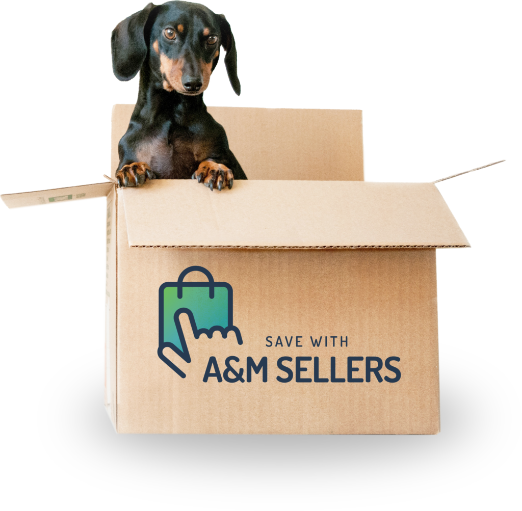 Small Daschund in A&M Sellers Branded Box